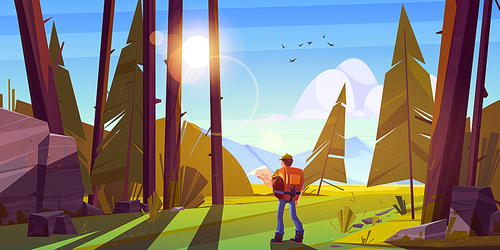 Hiker man in forest with coniferous trees, stones and mountains on horizon. Vector cartoon illustration of summer woods landscape with tourist with backpack and map