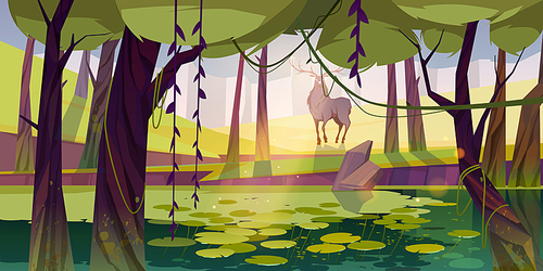 Deer in forest with swamp. Summer landscape of woodland with pond with water lilies, trees, lianas and green grass. Vector cartoon illustration of stag with antlers in park or forest with lake