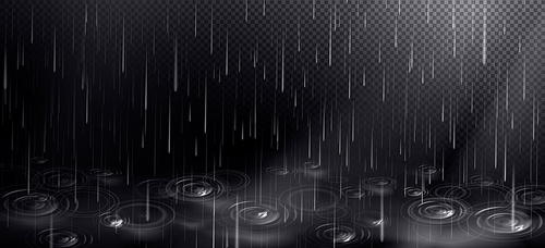 Rain and puddle with circles from falling drops. Rainy weather elements isolated on transparent . Vector realistic  with autumn shower and ripple water surface