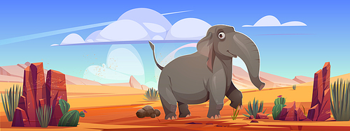 Funny elephant walk at desert landscape of safari park or outdoor zoo. Cartoon wild animal character at deserted nature background with sand, rocks and cacti. Wildlife environment Vector illustration