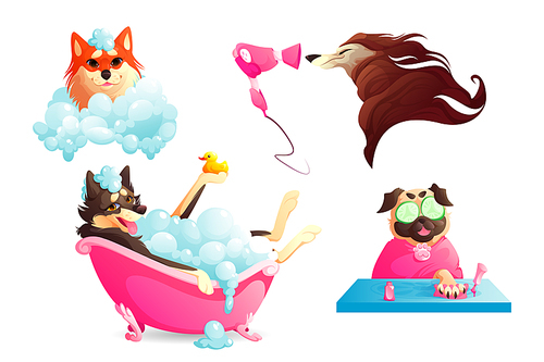 Grooming and spa salon for pets. Dogs washing in bathtub with soap foam, drying fur and manicure. Vector cartoon set of happy canine receive body care in salon or vet clinic