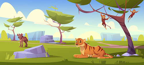 Savannah landscape with tiger, monkeys and jackal. Vector cartoon scenery of african savanna, summer natural park or tropical safari with wild animals, green trees and stones