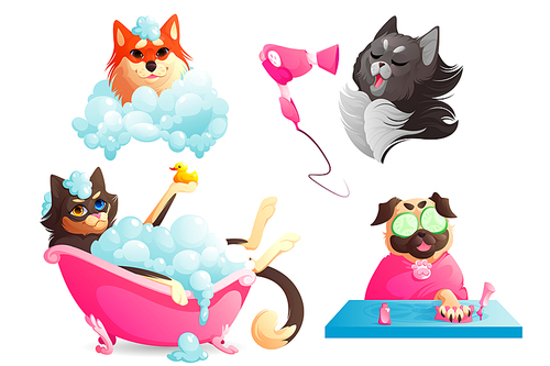 Dogs spa and grooming service, funny puppies enjoying salon procedures, pets drying hair with fan, manicure nails care, doggy take bath in tub with shampoo bubbles. Animals hygiene Cartoon vector set