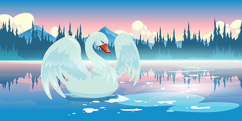 Swan on lake morning nature landscape, scenery view with beautiful white bird swim at calm pond with mountains and conifers trees under pink sky with fluffy clouds. Cartoon parallax vector background