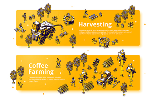 Coffee farming and harvesting isometric banners, farmers working on field care of plants and collecting crop. People use combine and tractor machinery for work, 3d vector line art web footer or header