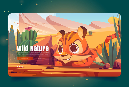Wild nature banner with tiger sneaks in desert. Vector landing page with cartoon illustration of sand desert with cactuses, stones and cute tiger. Predator hides and hunts in savanna