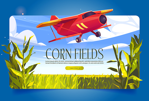 Corn fields banner with green cereal plants and red airplane. Vector poster with agriculture cornfield and flying biplane. Farmland with plantation of maize and aircraft jet in sky