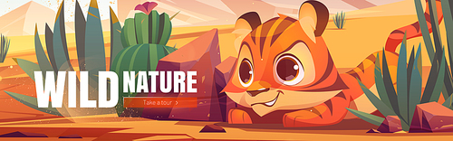 Wild nature cartoon web banner. Funny tiger cub hunting in African desert natural landscape. Baby predator life in deserted Africa with cacti and rocks, outdoor zoo park, save animals, vector concept