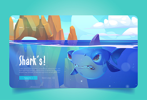 Sharks banner with angry big fish under water in ocean. Vector landing page of sea wildlife with cartoon illustration of seascape with marine animal with scary teeth underwater and rocks