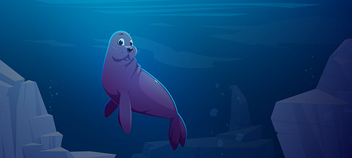 Cute fur seal swim in underwater ocean space with rocks around. Marine animal, wildlife pinniped creature relax in sea environment, fauna Arctocephalus forsteri species, Cartoon vector illustration