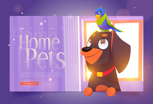 Home pets banner with cute dog and parrot on background of window in house. Vector landing page with cartoon illustration of funny puppy rottweiler and domestic bird