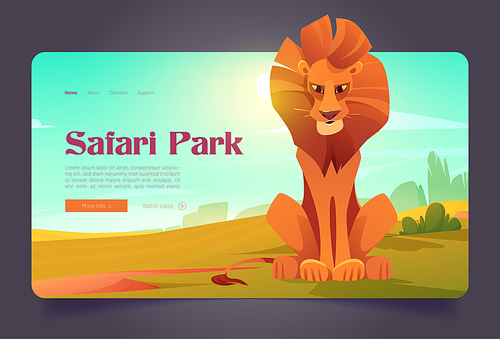 Safari park banner with cute lion in savannah. Vector landing page of nature park of wildlife with cartoon illustration of african savanna landscape with green grass and wild cat