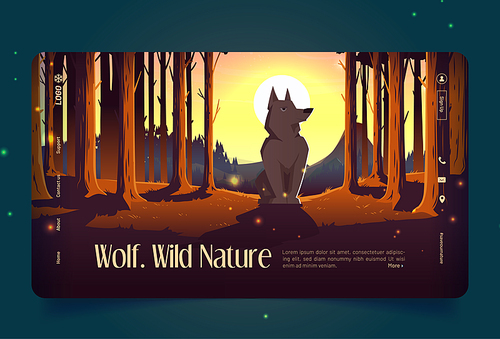 Wild nature banner with wolf sitting in forest at sunset. Vector landing page with cartoon illustration of woods landscape with pine trees, mountains on horizon, wild animal and sun in sky at evening