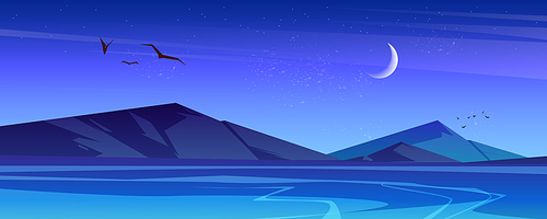 Night landscape with sea and mountains on horizon. Vector cartoon illustration of nature scene of lake with blue water, rocks, flying birds, moon and stars in sky
