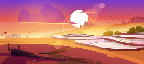 asian  field terraces in mountains sunset landscape. paddy plantation, cascades farm in mount rocks with sun go down in beautiful orange cloudy sky, scenery dusk view, cartoon vector illustration