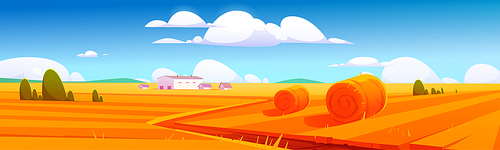 Rural landscape with hay bales on agriculture field and farm buildings. Vector cartoon illustration of countryside, farmland with round wheat straw rolls, yellow haystacks and barns