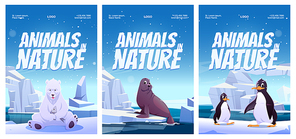 Animals in nature posters with penguin, polar bear and seal on floe. Vector flyers of zoo or natural park with cartoon illustration of wild animals of Antarctica, North pole and Alaska