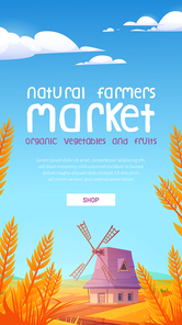 natural farmer market cartoon web banner. windmill on farm nature rural background with field and wheat. advertisement for organic  and fruits production promo, vector mobile app onboard page