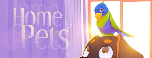 Home pets cartoon banner with parrot sitting on dog head front of wide curtained window at domestic room interior. Puppy and bird, petcare, adoption and love to animals concept, Vector illustration