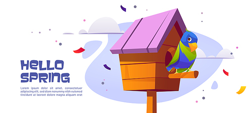 Hello spring banner with parrot in birdhouse. Vector landing page with cartoon illustration of beautiful colorful parrot and wooden bird house on background of sky with clouds