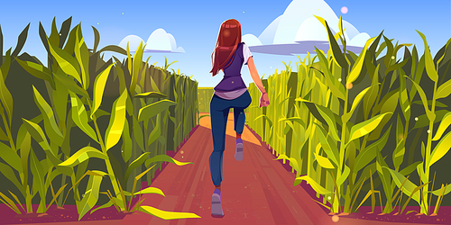 Woman run in corn field rear view, sport workout, girl running by dirt road with green plant stems around. Female character fitness, jogging exercise or outdoor training, Cartoon vector illustration