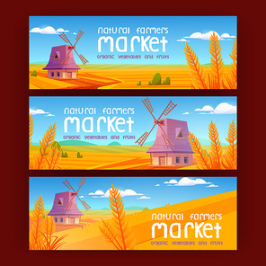 Natural farmer market cartoon banners. Windmill on farm nature rural background with ripe wheat ear on yellow field and under blue sky. Advertisement for organic production promo, Vector illustration