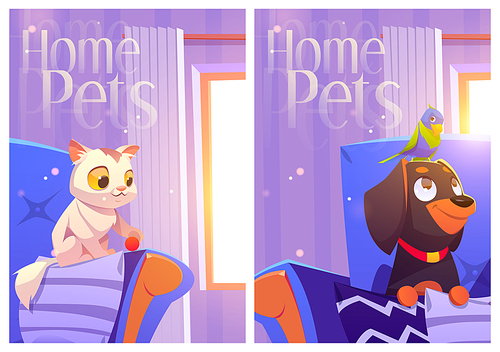 Home pets cartoon posters with cute kitten play with ball on armchair, parrot sitting on dog head at room interior. Cat, bird and puppy petcare, adoption and love to animals, Vector illustration