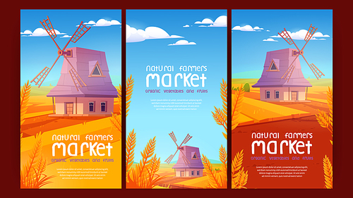 Farmers market banners with windmill on field with ripe wheat. Vector vertical posters of agriculture, local organic produce fair with cartoon illustration of farmland with cereal plants and wind mill