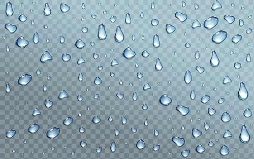 Water drops on transparent background, condensation, rain droplets with light reflection on window or glass surface, pure aqua blobs pattern, abstract wet texture, Realistic 3d vector illustration