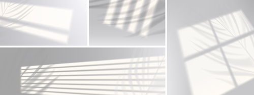 Window shadows with plant branches on wall, realistic light blinds. Overlay effect, jalousie shade on white background. Soft sunlight fall on room floor, graphic design mockup, 3d vector illustration