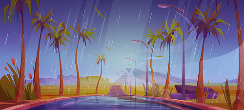 Rainy landscape road with palm trees by sides going into the distance perspective view. Rain, beautiful tropical nature with empty wet highway, dull sky and rocks in far, Cartoon vector illustration
