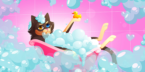 Cat wash in bathtub in pet grooming salon. Vector cartoon illustration of kitten with heterochromia taking bath with soap foam and duck. Spa for domestic animals