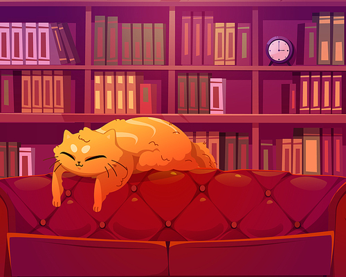 Funny cat sleeping on sofa in library interior. Cute  kitten sleep on leather couch on background with bookshelf with rows of book spines. Cartoon animal character at home, Vector illustration