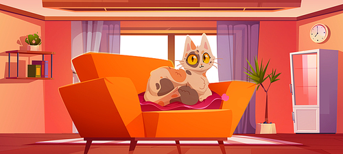 Living room with cute cat lying on pillow on sofa. Vector cartoon illustration of modern lounge interior with cabinet, shelf with books and funny furry kitten on couch