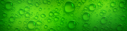 Condensation water drops on green horizontal background. Rain droplets with light reflection abstract wet texture, scattered pure aqua blobs pattern, backdrop, Realistic 3d vector footer or header