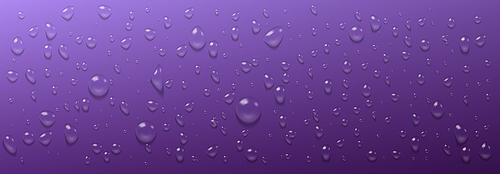 Condensation water drops on purple horizontal background. Rain droplets with light reflection abstract wet texture, scattered pure aqua blobs on violet backdrop, Realistic 3d vector footer or header