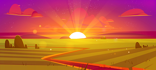 Rural landscape with agriculture fields at sunset. Vector cartoon illustration of countryside, farmland with green grass, trees, road and sun on horizon at evening