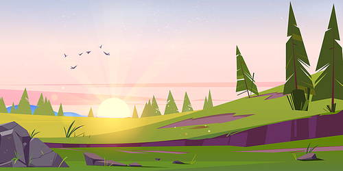 Early morning cartoon nature landscape with sun rising over green field with conifers trees and rocks under pink sky with flying birds. Scenery background, summer or spring meadow, Vector illustration