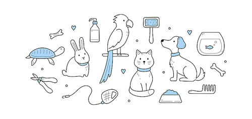 Pets, love home animals doodle concept with domestic cat, dog, parrot, rabbit with turtle or fish in aquarium. Food bowl, comb, scissors and leash, bone, cosmetics bottles, Linear vector illustration