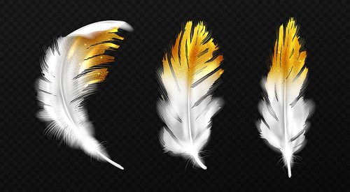 white feathers with gold glitter on edges, birds plumage or hackles with golden sparks, boho style trendy design elements isolated on black , realistic 3d vector illustration, icons set