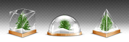Snow globes with christmas tree on wooden base isolated on transparent . Vector realistic mockup of crystal balls with white snow and green fir inside. Glass domes different shapes