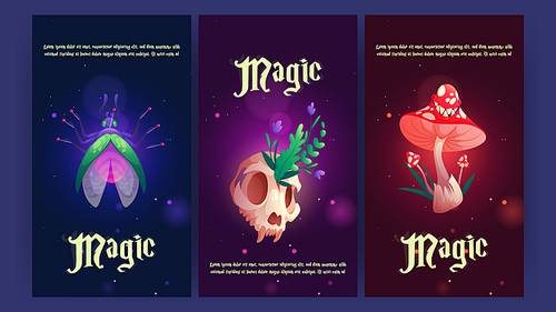 Magic banners with fly, animal skull, and creepy mushroom. Vector vertical posters with cartoon illustration of witchcraft and occult equipment, pinned insect, herbs, and fly agaric
