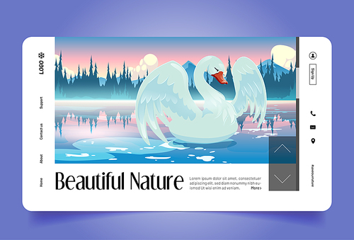 Swan on lake, beautiful nature cartoon landing page. Morning landscape, scenery view with white bird swim at calm pond with mountains and conifers trees under pink sky with clouds, Vector web banner