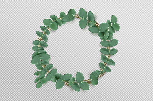 Eucalyptus wreath with leaves, round branch frame, invitation card element. Evergreen plant border, natural green foliage, wedding decor realistic 3d vector illustration isolated on transparent
