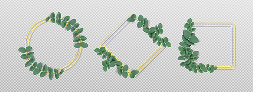 Golden frames with eucalyptus leaves isolated on transparent background. Natural green foliage borders decor of round, square and rhombus shape. Realistic 3d vector illustration, decorative elements