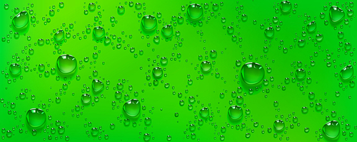 Condensation water drops on green background. Rain droplets with light reflection, bubbles fizz, abstract wet texture, scattered pure aqua blobs pattern, horizontal backdrop, Realistic 3d vector