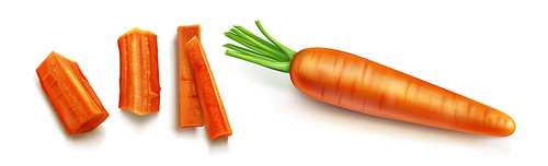Carrot vector isolated illustration. Orange vegetable with green leaves and shadow in realistic style on white . Chopped round slices and sticks or bars