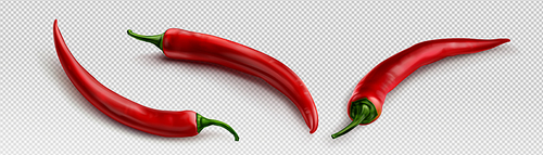 Chili pepper realistic 3d image on transparent background. Vector png illustration of red hot cayenne. Organic vegetable farming. Natural spicy paprika seasoning. Mexican cuisine ingredient