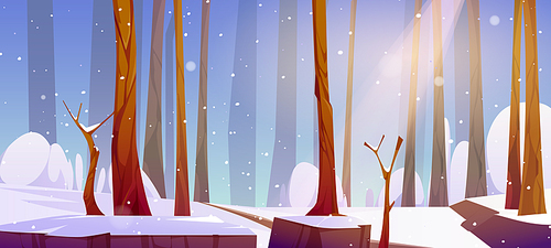 Winter landscape with white snow, tree trunks and path in daylight. Vector cartoon illustration of natural park, garden or forest with bare trees, snowfall and sunshine