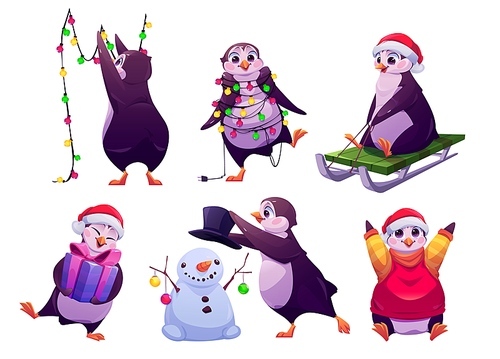 Christmas penguin, cute animal hanging festive garland, wear santa hat and sweater , holding gift box, riding sled, making snowman. Cute cartoon character prepare for holidays, Vector illustration